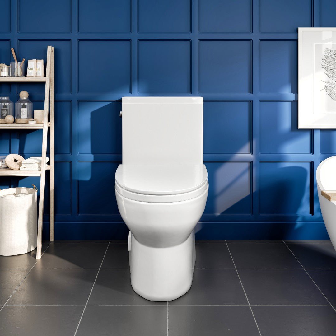 Zion 12 inch Floor Mounted 1 - piece 1.28 GPF Tornado Flush Elongated Toilet in White Seat Included - by Eviva