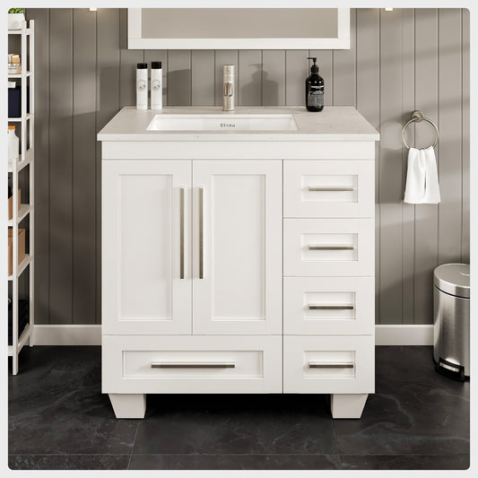Loon 30"W x 22"D White Bathroom Vanity with Carrara Quartz Countertop and Undermount Porcelain Sink