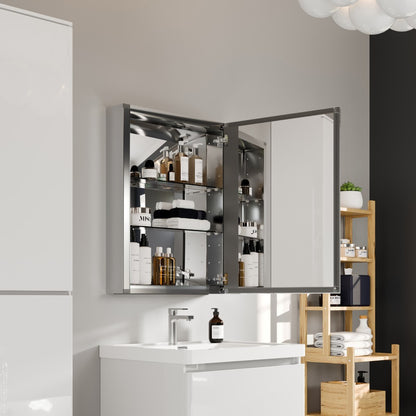 Eviva Lazy  Glass Medicine Cabinet