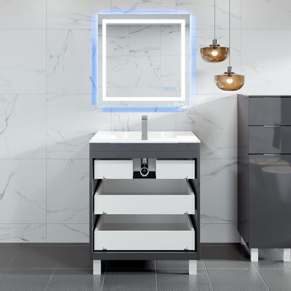 Libra 28 in. Gray Single Sink Bath Vanity with Porcelain Top and Integrated Sink