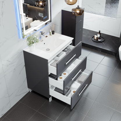 Libra 28 in. Gray Single Sink Bath Vanity with Porcelain Top and Integrated Sink