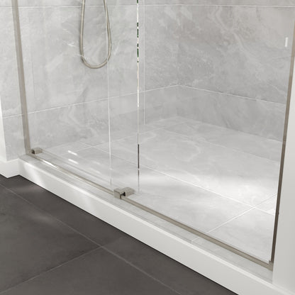 Eviva Glide 48 in. W x 78 in. H Sliding Frameless Shower Door in Brushed Nickel with Tempered Glass