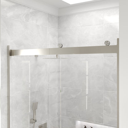 Eviva Glide 48 in. W x 78 in. H Sliding Frameless Shower Door in Brushed Nickel with Tempered Glass