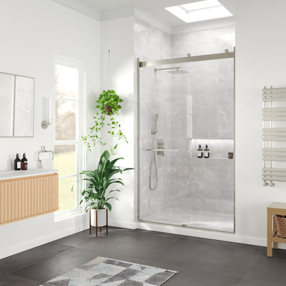 Eviva Glide 48 in. W x 78 in. H Sliding Frameless Shower Door in Brushed Nickel with Tempered Glass