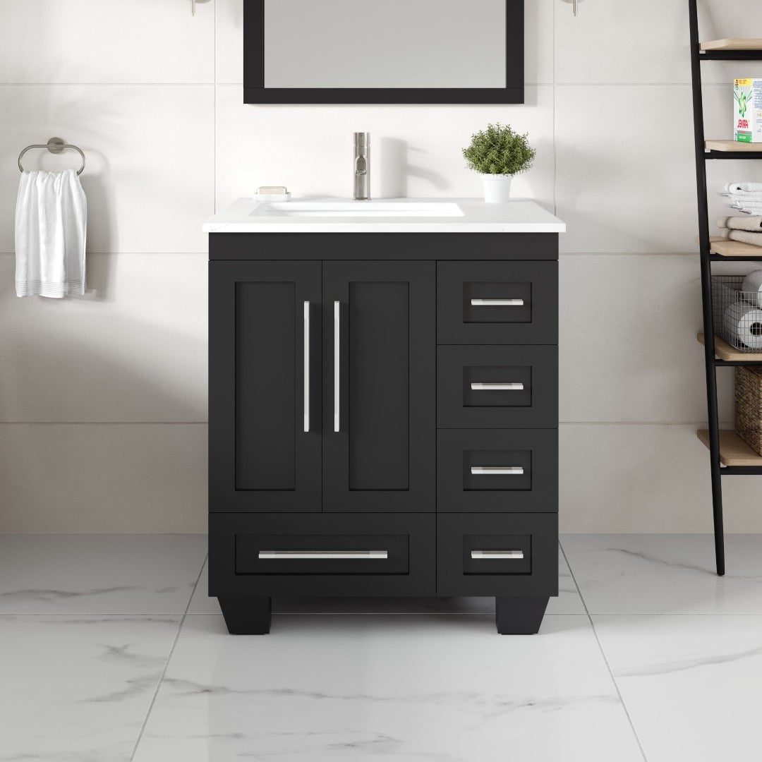 Loon 28 in. Espresso Single Sink Bath Vanity with Carrara Quartz Top and Undermount Porcelain Sink
