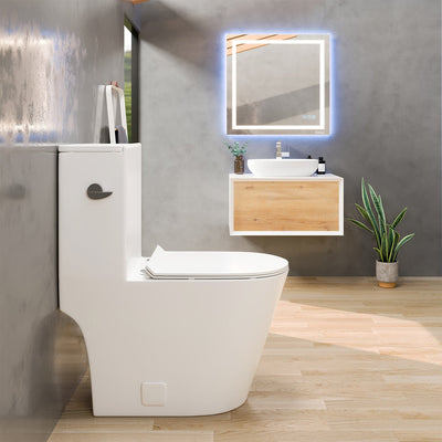 Eviva Lassen One Piece Toilet in White