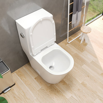 Eviva Lassen One Piece Toilet in White