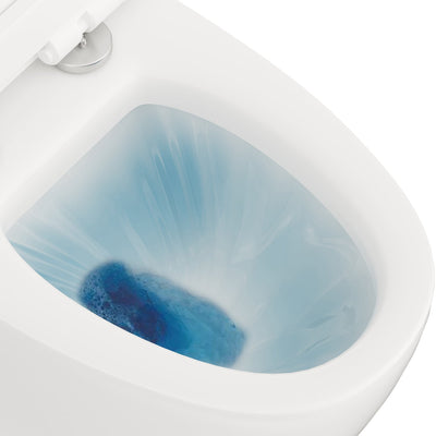 Eviva Lassen One Piece Toilet in White