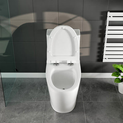 Eviva Zion One Piece Toilet in White