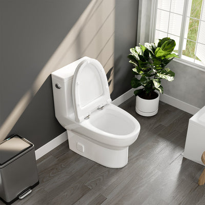 Eviva Denali One Piece Toilet in White