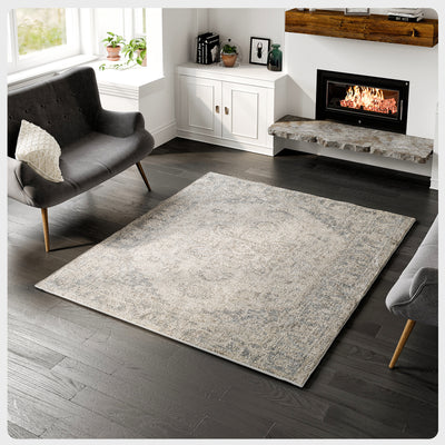 Capricorn 3' x 5' Oriental Gray Rug