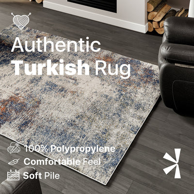 Aries 5' x 7' Distressed Multicolor Rug