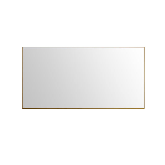 EVIVA Gold 60X30 Inch Modern Framed Bathroom Mirror